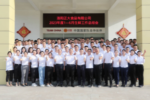 總結(jié)過去，計(jì)劃未來，協(xié)同創(chuàng)新，再創(chuàng)佳績(jī)！洛陽正大舉行2023年上半年工作總結(jié)會(huì)議